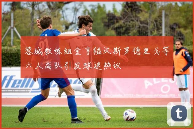 蓉城教练组金亨镒汉斯罗德里戈等六人离队引发球迷热议